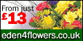 Edan 4 Flowers